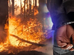 Уапсен радовишанец: се сомничи дека предизивикал пожар на планината Плачковица