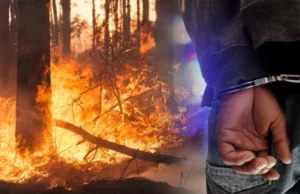 Уапсен радовишанец: се сомничи дека предизивикал пожар на планината Плачковица