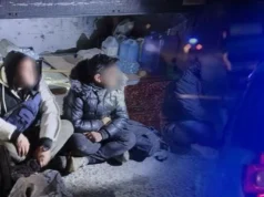 Уапсен шверцер на мигранти во близина на границата со Грција: пронајдени пет лица од Виетнам