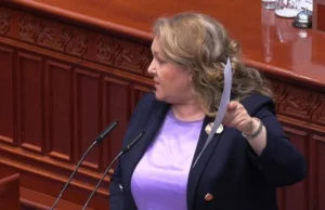 СДСМ бара одговори од Тошковски за акцијата во која беше уапсен директорот на Инспекторатот за земјоделие