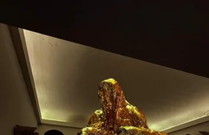 Како ќе изгледа „Пиета во прекривките на ургентноста“ во македонскиот павилјон на Венециското биенале