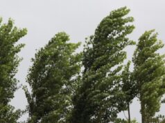 Сончево, но ветровито: Налети над 60 км на час долж Повардарието