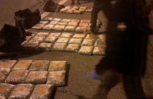 (Фото+видео) Пресечен транспорт на дрога во близина на Градско