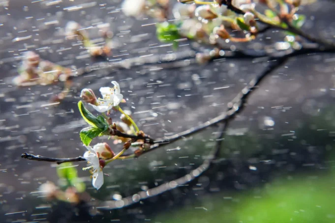 prolet-dozddepositphotos_116813518_xl