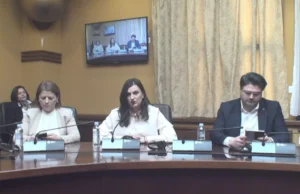 Зајкова: Ако државата не може да ги заштити граѓаните што пријавуваат семејно насилство, тогаш имаме опасен систем