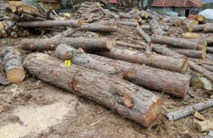(Фото) Запленети 19 метри кубни нелегално сечени дрва на територија на ОВР Делчево