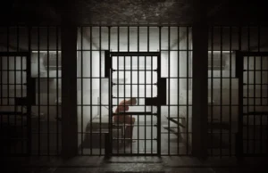 (Видео) Во затвор ќе оди американскиот стример кој бакнуваше споменик на сексуалните робинки во Јужна Кореја