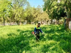 Центар во пролетна акција: Косење трева и уредување на безбедни зелени површини во сите населби и маала