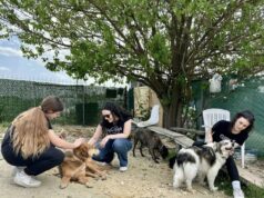 „Лајка-Фест“ во Градски парк: Едукација, вдомување и заедништво со животните