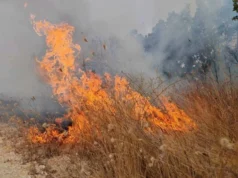 До 18 часот, регистрирани 13 пожари на отворено