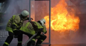 Изгоре плевна во Мислешево: пожарот зафатил и дел од куќа