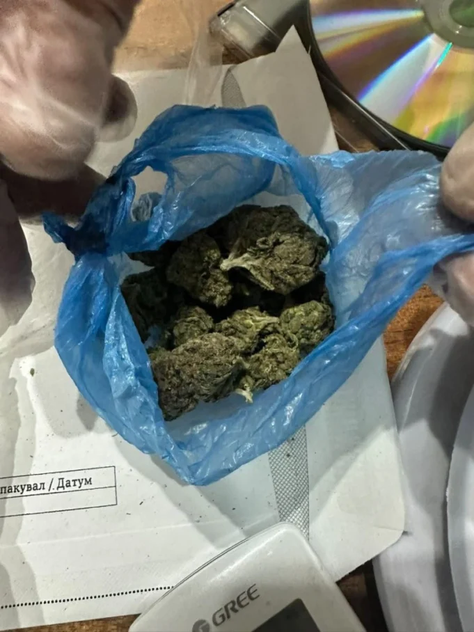 marihuana-zaplena-mvr-10juni