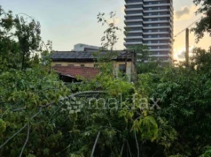 (Фото) Откорнати дрвја, покриви, искинати кабли, непроодни улици по невремето во делови од Скопје