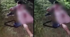 На слобода се осомничените кои избодеа дете во Ченто, највисоката казна затвор за делото им е 3 години