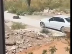 (Видео) Вознемирувачко видео на кое Македонка со автомобил брутално гази куче во Црна Гора