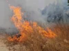 Пет пожари сè уште активни низ државата, девет се изгаснати