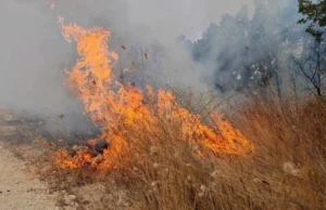 Поради зголемениот ризик од пожари, Владата прогласи 30-дневна кризна состојба