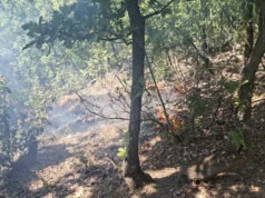 (Фото) Пожар на тешко достапен терен кај Валандово, општината се сомнева на намерно подметнување
