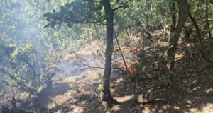 (Фото) Пожар на тешко достапен терен кај Валандово, општината се сомнева на намерно подметнување