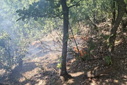 (Фото) Пожар на тешко достапен терен кај Валандово, општината се сомнева на намерно подметнување