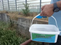 Итна дезинсекција во Општина Гази Баба поради бројот на случаи со западнонилска треска