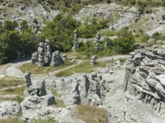 Жената која наплаќаше влез на локалитетот Куклица приведена поради напад врз посетители