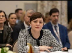 Димитриеска-Кочоска: Поддршката на домашните компании преку унгарскиот заем е инвестиција во економскиот раст