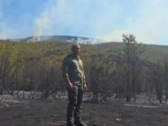Ангелов: Три „ер трактори“ се борат со пожарот на Жеден кај Јажинце