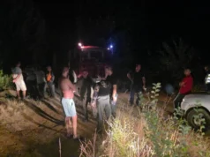 Големиот пожар во Зелениково се доближи до куќите, спречена е катастрофа