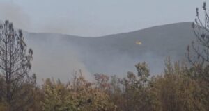 Тежок пожар во Ресенско, се движи кон Пелистер, интервенираат и „ер трактори“