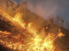 Со надчовечки напори на пожарникарите изгаснат голем пожар над Дебар