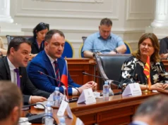 Божиновска: Дигиталната трансформација и сајбер-безбедноста се клучни за сигурен и отпорен енергетски систем