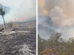 (Видео) Полицијата разговара со лице осомничено за пожарите во Кавадаречко, огнот повторно се разгори