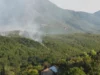 (Видео) Пожарот во Кавадаречко подметнат од криминални мотиви, палежите распоредени на повеќе локации, рече Ангелов