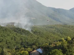 (Видео) Пожарот во Кавадаречко подметнат од криминални мотиви, палежите распоредени на повеќе локации, рече Ангелов