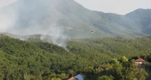 (Видео) Пожарот во Кавадаречко подметнат од криминални мотиви, палежите распоредени на повеќе локации, рече Ангелов