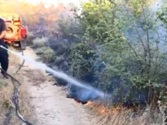 Пожарот во Кавадаречко не стивнува, пожарникарите ќе се борат со огнот и во текот на ноќта