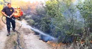 Пожарот во Кавадаречко не стивнува, пожарникарите ќе се борат со огнот и во текот на ноќта