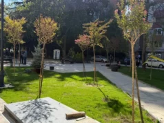Паркот во Градски ѕид добива нови садници, детско игралиште и теретана на отворено