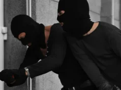 Краделе тутун од сушари, земјоделска механизација: уапсени две лица во Радовишко