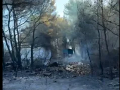 Големиот пожар во Брач зад себе остави пустош