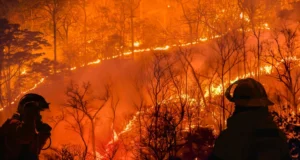 Пожарот на Брач сè уште не е ставен под контрола, огнот се шири кон Милна