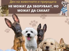 „Не можат да зборуваат, но можат да сакаат“: Настан за миленици и вдомување кучиња во Кисела Вода