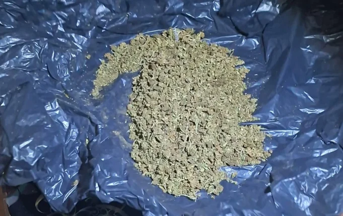 marihuana-zaplena-foto-mvr-3-1