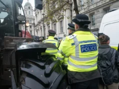 Во Англија пронајдено бебе завиткано во весници од 1910 година, истрагата утврди дека било убиено