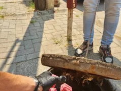 Герасимовски: Во понеделник спроведуваме нова вонредна дератизација во Центар, претходната беше спроведена пред само еден месец