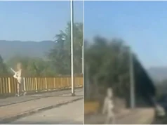 (Видео) 38-годишна скопјанка фрлаше отпад во реката Лепенец, СВР Скопје ја откри и ја санкционираше