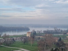 Нискиот водостој на Дунав го намали речниот туризам во Србија, претоварот на стоки падна и до 63 отсто