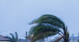 Мексико предупредува на ураганот Труди, тајфунот Чампи се движи кон Гуам