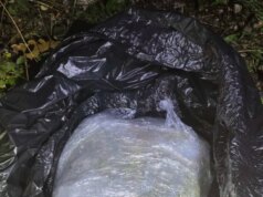 Приведен 40-годишник кај Ќафасан, затекнат со околу еден килограм марихуана